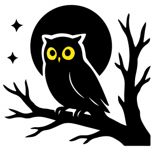 Night Tigers: Our Neighborhood Owls