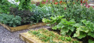 Introduction to Square Foot Gardening